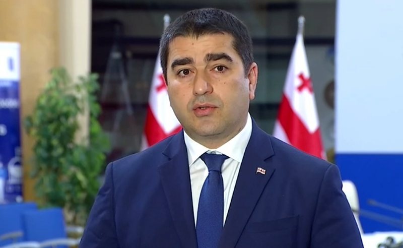 ვერც ერთი ფრაქცია ცალკე ვერ აირჩევს სახალხო დამცველს - პაპუაშვილი