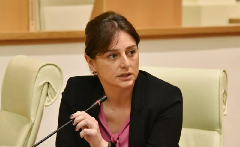 აბსოლუტურად უსაგნოდ ლაპარაკობთ, ამას ხალხურად ბოდიალობა ჰქვია - მაია ბითაძე ოპოზიციას