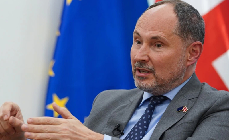 21-ე საუკუნეში რთული გასაგებია, რატომ ვერ დაესწრო სასამართლოს - ევროკავშირის ელჩი