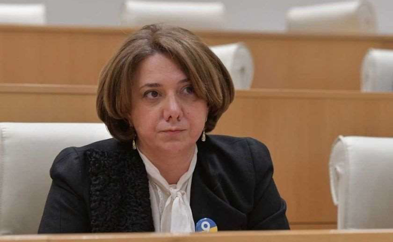 რა გადაწყვეტილებას სთავაზობთ საზოგადოებას, რომ სააკაშვილი არ გარდაიცვალოს - სამადაშვილი ბრეგაძეს