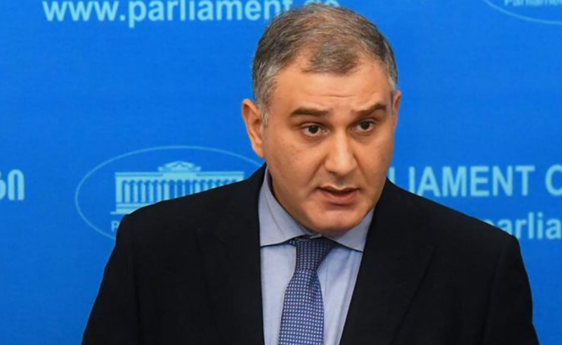 ენმ სხვისი  წარმატების მისაკუთრებას ცდილობს, ეს ამორალურია - სარჯველაძე 