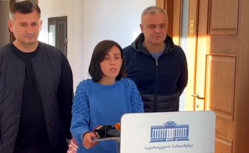 შიმშილობის მე-6 დღე პარლამენტში - მოშიმშილე დეპუტატების მდგომარეობა მძიმდება
