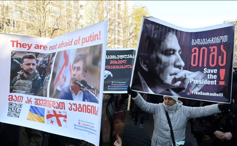 ნუ მოკლავთ, პრეზიდენტს - აქცია სალომე ზურაბიშვილის სახლთან