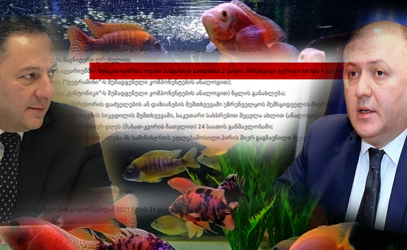 დელფინი, წითელი ზებრა, ანციტრუსები - მინისტრებმა კაბინეტები გიგანტურ აკვარიუმებად აქციეს
