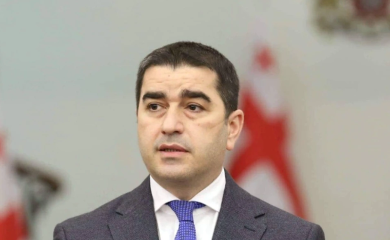 ვინ ააცალა სკამი პრეზიდენტს - რას ამბობს პარლამენტის თავმჯდომარე