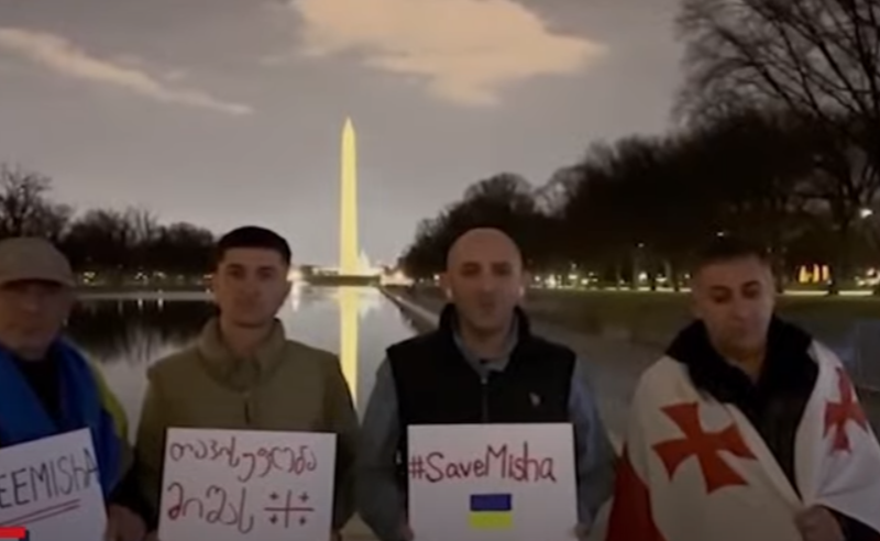 მსოფლიოს 19 ქვეყანა და 22 დიდი ქალაქი - ემიგრანტები სააკაშვილის მხარდამჭერ აქცის უერთდებიან