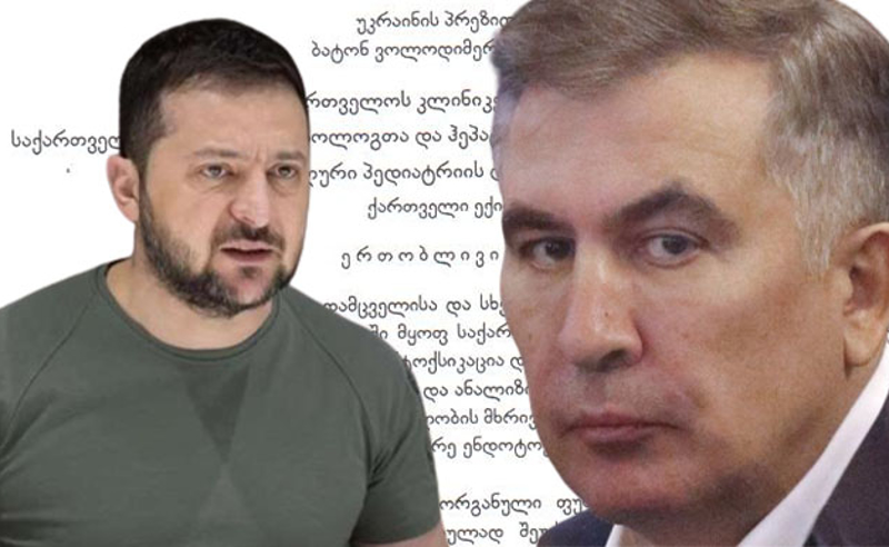 დაგვეხმარეთ მიხეილ სააკაშვილის სიცოცხლის გადარჩენაში - ქართველი ექიმების მიმართვა ზელენსკის