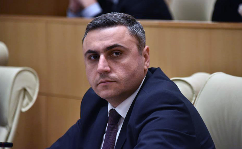 "მსგავსი შემთხვევების სპროცენტიანი პრევენცია არ არსებობს" - მათიკაშვილი საგარეჯოს ტრაგედიაზე