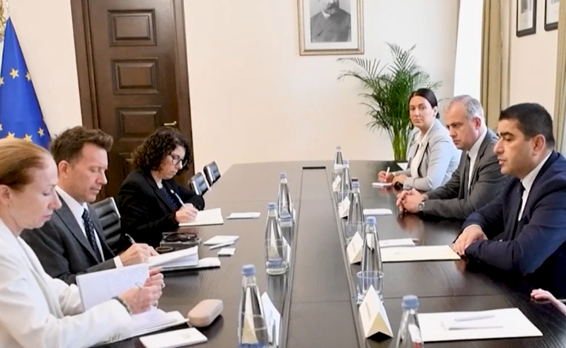 ამერიკის ელჩმა პარლამენტის შენობა უკომენტაროდ დატოვა