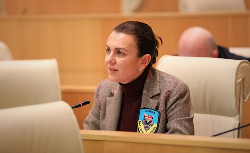 ჩემი თავმჯდომარეობის შემთხვევაში ენმ- პარლამენტს დატოვებს და გავა ქუჩაში - ნონა მამულაშვილი