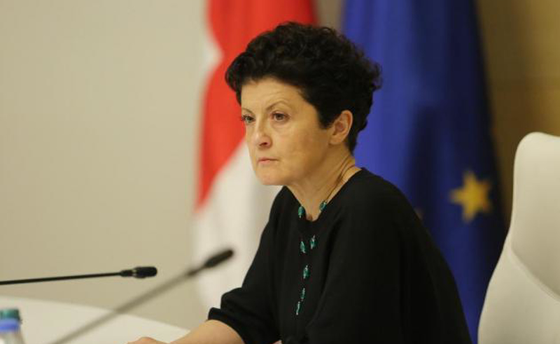 "პათეტიკური და უპასუხისმგებლო" - წულუკიანი ხაბეიშვილის განცხადებაზე 