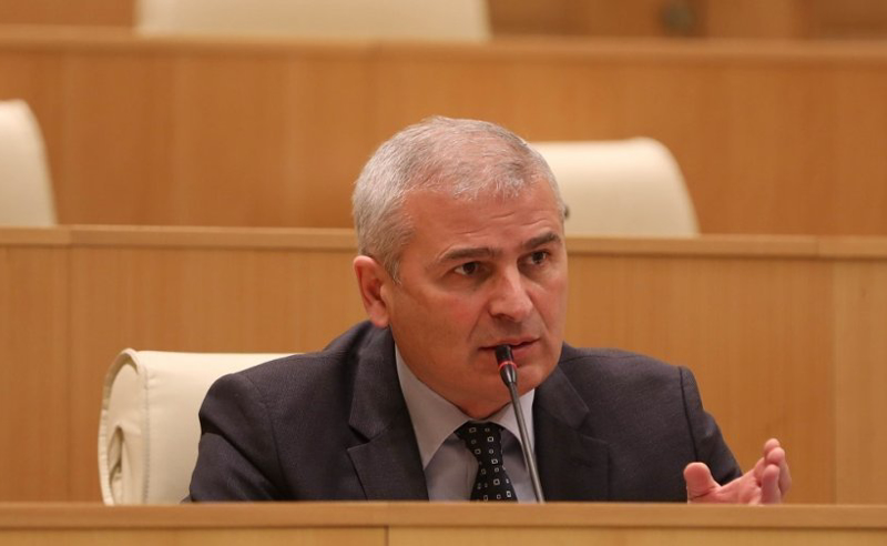 ივანიშვილს არაფორმალური სანქციები დაუწესეს, რომ პოლიტიკაში დაბრუნდეს - ქადაგიშვილი