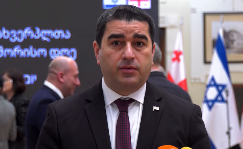 სამხარაულის ექსპერტიზის დასკვნა არ მჭირდება, რომ „ემპათიის“ დასკვნებში ეჭვი მეპარებოდეს - პაპუაშვილი