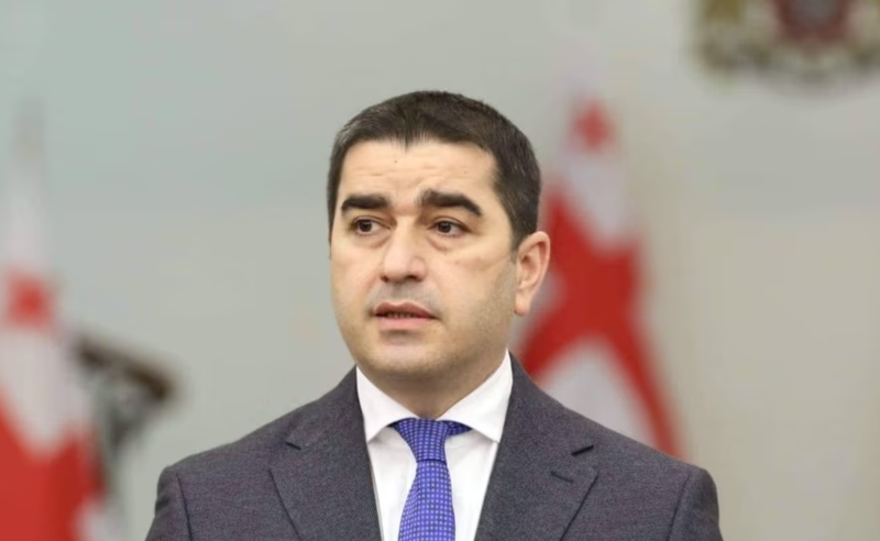 ოპოზიციის გარდა ევროსაბჭოს რეზოლუციაში პროგრესს ყველა ხედავს - შალვა პაპუაშვილი