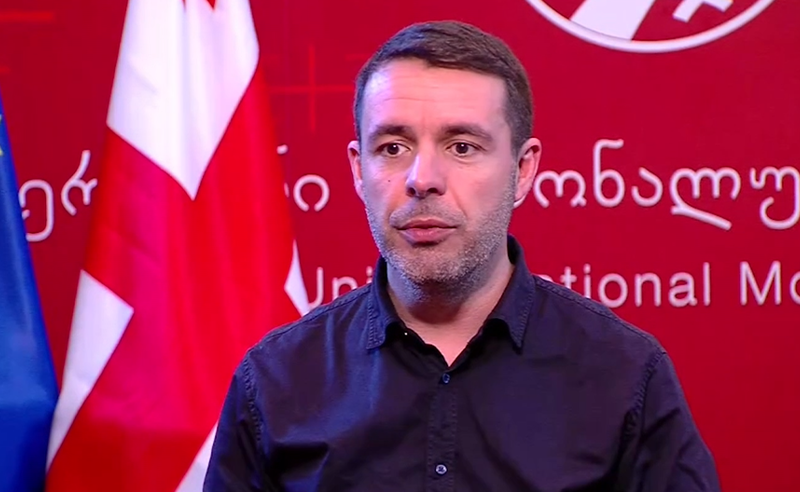 ვერ დავიწყებთ ახლა 60 პროცენტებზე საუბარს, აღნიშნული კომიქსები უკვე მინახავს - მელიას ფლანგი ხაბეიშვილის ბრიფინგზე