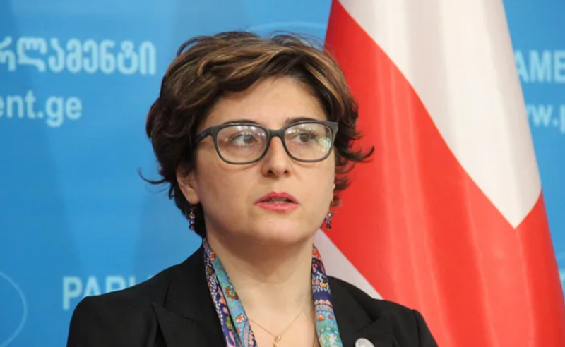 ხაბეიშვილმა პარლამენტის დატოვების საკითხი ჯერ საკუთარ პარტიაში გაარკვიოს - ხათუნა სამნიძე