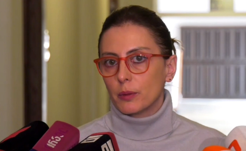 ,,ოცნება" ევროპულ ინსტიტუტებს ზერელედ ეკიდება - ხატია დეკანოიძე 
