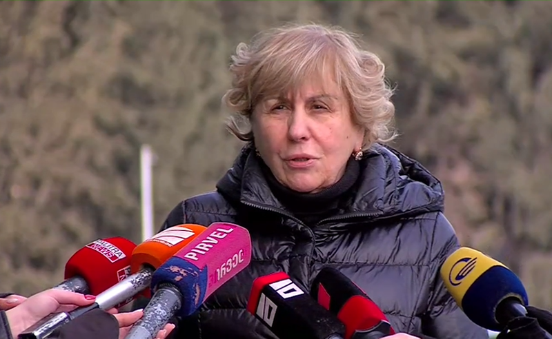 გამოვდივარ სრულიად დანგრეული, ჩემს თვალწინ ქრება, დნება და მიდის ადამიანი - ალასანიამ სააკაშვილი მოინახულა