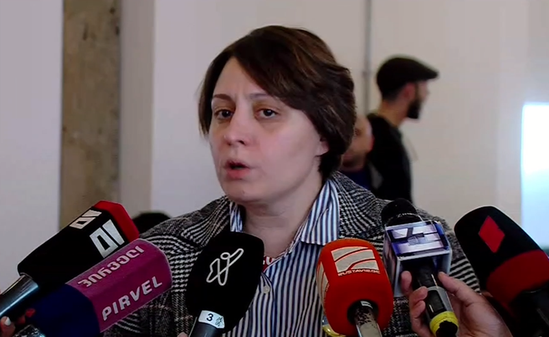 ენმ-თან თანამშრომლობა იქნება, თუმცა სტრუქტურული ერთობა არ განიხილება - ელენე ხოშტარია