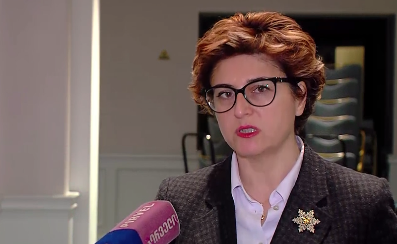 მარაზმშია უკვე „ნაციონალური მოძრაობა", პოლიტიკური შეცდომაა მანდატების დატოვება - სამნიძე 