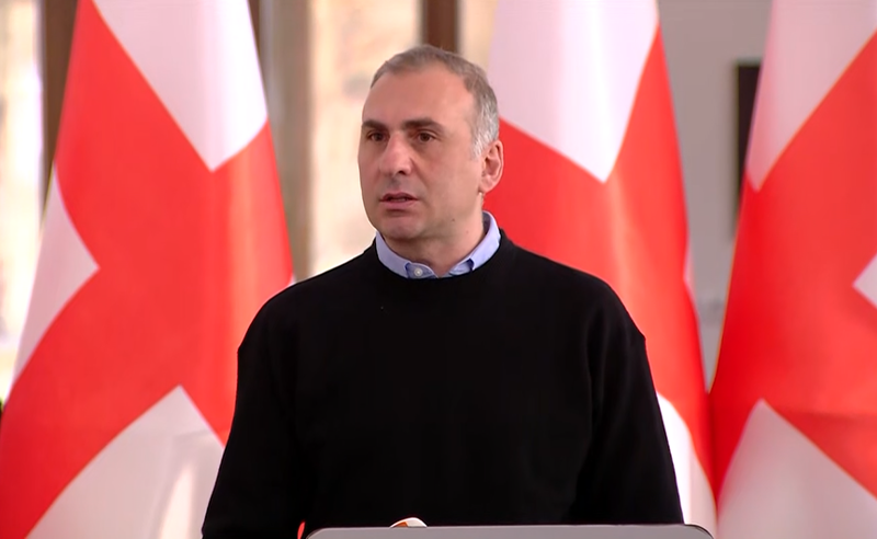 რადიატორზე ჯაჭვით არ არიან მიბმულები, თქვან, ბოიკოტში როცა ვართ, არ ვიღებთ ხელფასს - ელისაშვილი 