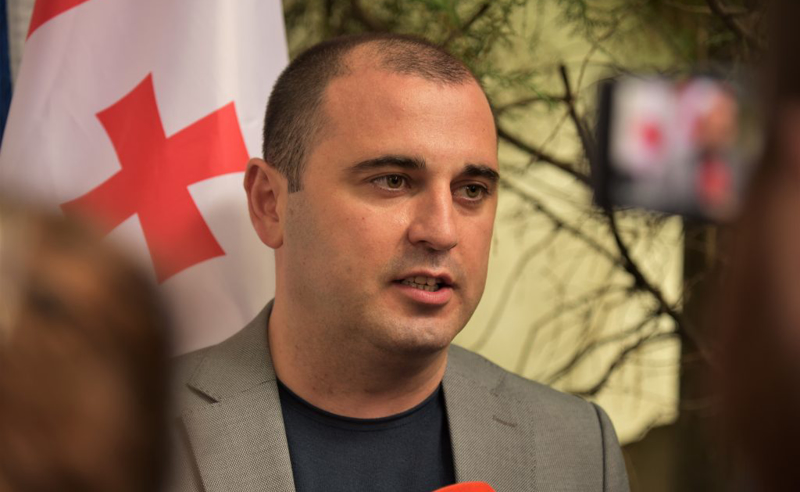 საუბარი შეეხებოდა სააკაშვილს და გვარამიას - ხაბეიშვილი საქართველოში საფრანგეთის ელჩს შეხვდა