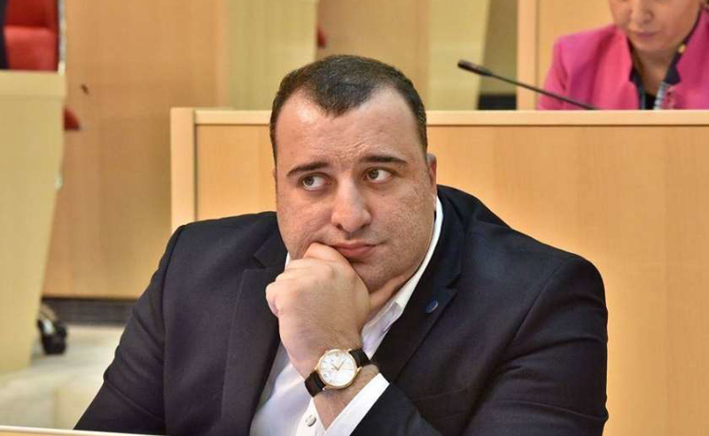 ევროდეპუტატების რეზოლუციის პროექტი უსამართლოა - იონათამიშვილი