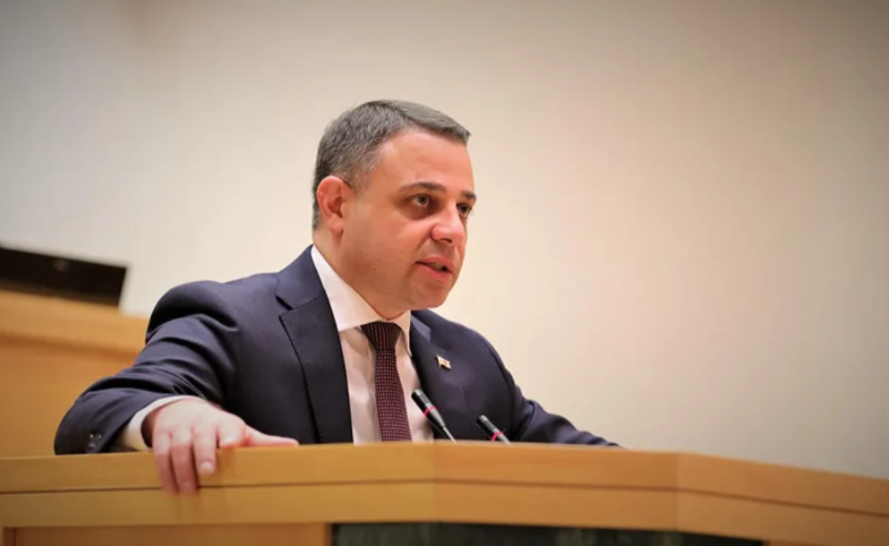 ევროპარლამენტის რეზოლუციები რეალობას სულ უფრო აცდენილია - ღუდუშაური