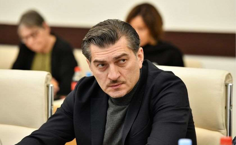 "გასცდნენ თავის უფლებამოსილებას" - ყაველაშვილი ენჯეოებსა და მედიაზე