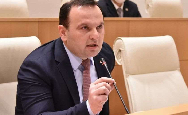 "არ მოიქცეთ ბანანის, ჯუნგლის კანონით" - მანჯგალაძე ხელისუფლებას 