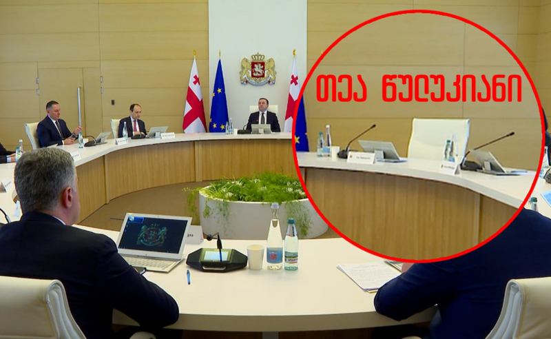 თეა წულუკიანი მთავრობის სხდომაზე არ მივიდა