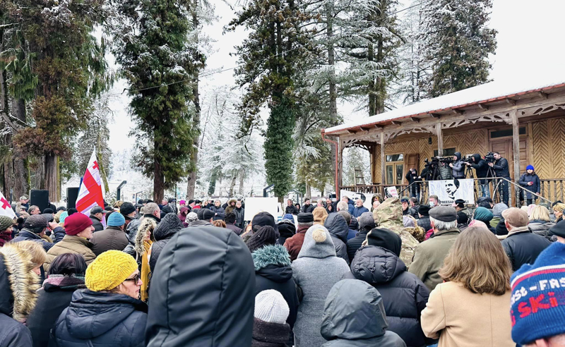 "მიზნის მისაღწევად, მოგვიწევს მოქმედება, მობილიზება და  სახალხო პროტესტი" - ენმ-ს აქცია წალენჯიხაში