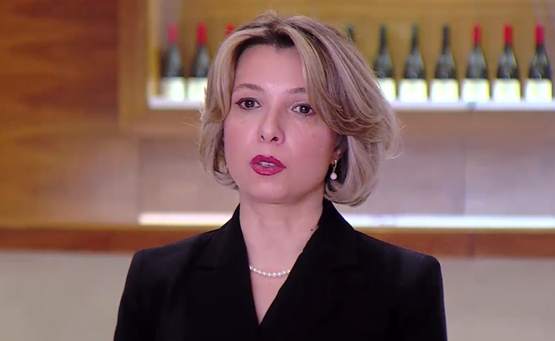 "ხალხის ძალის" კანონპროექტი კრიტიკული აზრის განადგურებას და საქართველოს რუსეთთან გაიგივებას ისახავს მიზნად - ლომჯარია