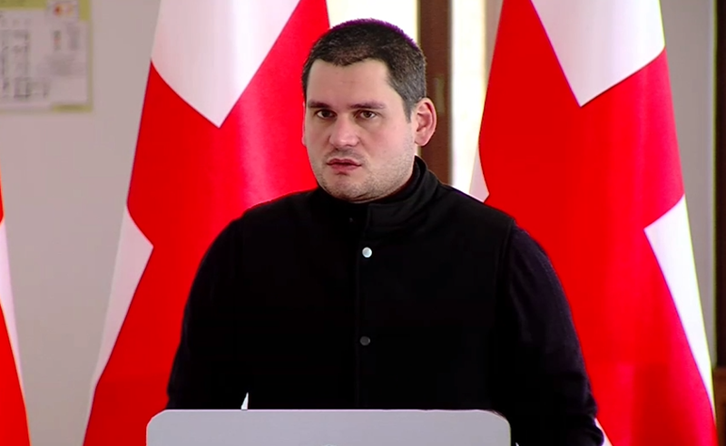 მოვუწოდებთ ,,ქართულ ოცნებას", მხარი არ დაუჭიროს "ხალხის ძალის" კანონპროექტს - დაუშვილი