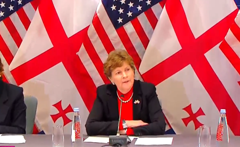 მედიათავისუფლება და ადამიანის უფლებების დაცვა  ევროინტეგრაციისთვის აუცილებელი პირობაა - შაჰინი