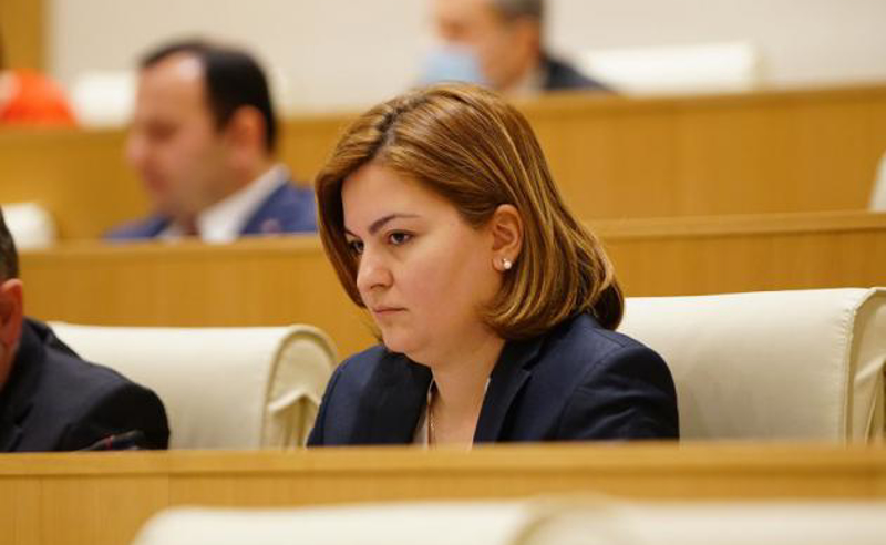ნაცვლიშვილი პაპუაშვილს: როგორ მოგმართოთ ბატონო შალვა, ბატონო სპიკერო, თუ ბატონო აგენტო? 