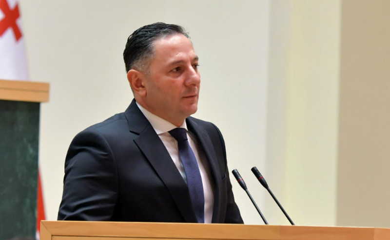 კრიმინალის ზრდა, რუსების მასობრივი შემოდინება და სისტემიდან თანამშრომლების გაქცევა - პარლამენტში გომელაურს უსმენენ