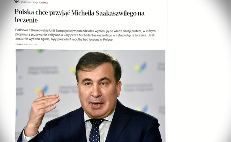 EU-ს ქვეყნებმა საქართველოს ხელისუფლებას მიმართეს, მოხდეს სააკაშვილისთვის სასჯელის გადავადება - პოლონური მედია