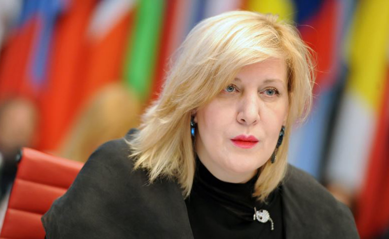 კანონმა შესაძლოა,  შემაძრწუნებელი გავლენა იქონიოს სამოქალაქო საზოგადოების საქმიანობაზე - კომისარი პაპუაშვილს აფრთხილებს