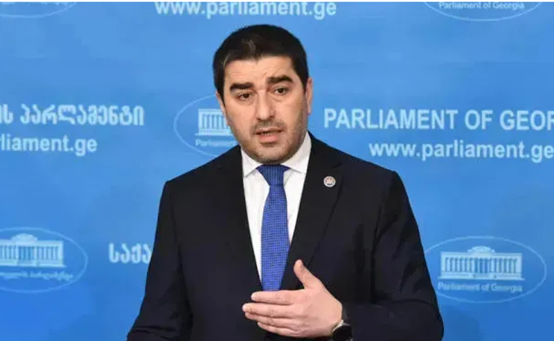 არის მცდელობა, რომ დემოკრატიული დისკუსია ტაბუს ქვეშ მოექცეს - პაპუაშვილი პრეზიდენტის დაანონსებულ ვეტოზე