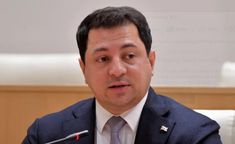 ვეტომდე ჯერ ბევრი დროა, განცხადების წინასწარ გაკეთება, არ მგონია, რომ სწორი იყოს - თალაკვაძე პრეზიდენტზე