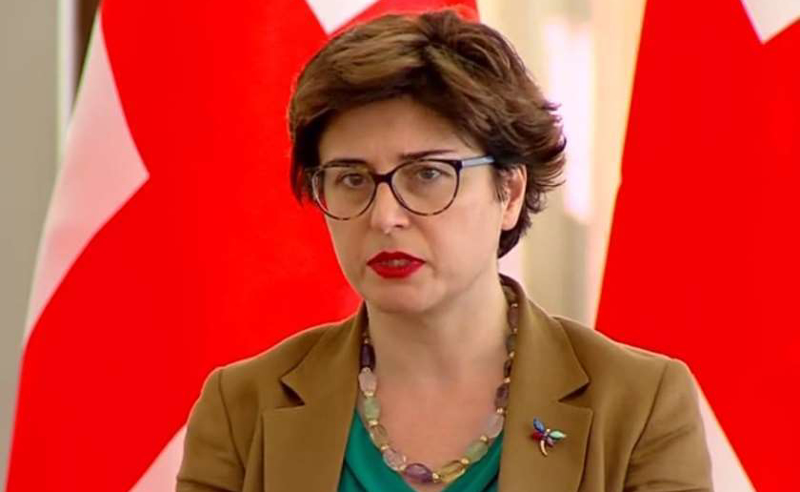 ივანიშვილი ყოველთვის ორმაგ პოლიტიკას აწარმოებდა - სამნიძე