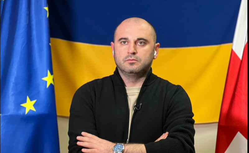 "23 დღე გავიდა და მაწვებით, რა შედეგი დადეთო" - რა გააკეთა ენმ-ს ახალმა თავმჯდომარემ დანიშვნიდან დღემდე