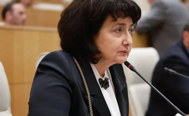 კაცს დეპუტატებს, რომლებიც პარლამენტიდან ძალის გამოყენებით გაიყვანეს, მანდატი და პირადობა ჩამოართვეს - ჩხეიძე