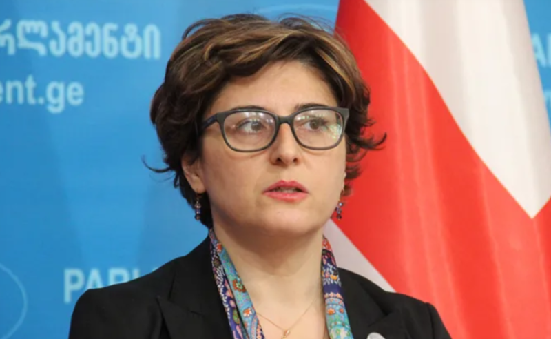 ოხანაშვილს უნდა სხდომა მარტომ, წინააღმეგობის გარეშე ჩაატაროს, ეს არის რუსული მოდელი - სამნიძე 