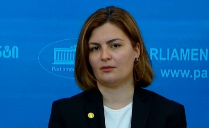 "კარგად ბრძანდებოდე, ანა მასწავლებელო" - კომიტეტის სხდომიდან ნაცვლიშვილიც გამოაძევეს