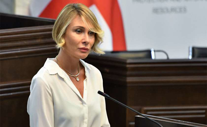 არ დაუჭიროთ მხარი რუსულ კანონს - ქალთა უფლებებზე მომუშავე ორგანიზაციები ნინო წილოსანს
