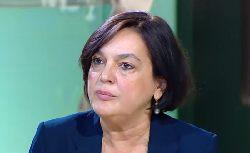 ამ ტიპის კანონს ჩრდილოელი მტრის წინააღმდეგ რომ ვიღებდეთ, გასაგები იქნებოდა - თსუ-ის რექტორის მოადგილე