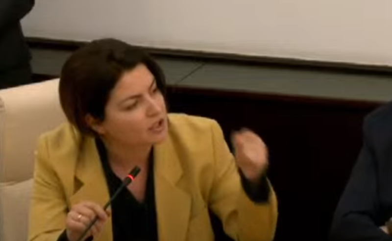 ხომ უნდა მიხვდეთ, რომ მარტო ხართ რუსულ კანონთან? - ნაცვლიშვილი პაპუაშვილს