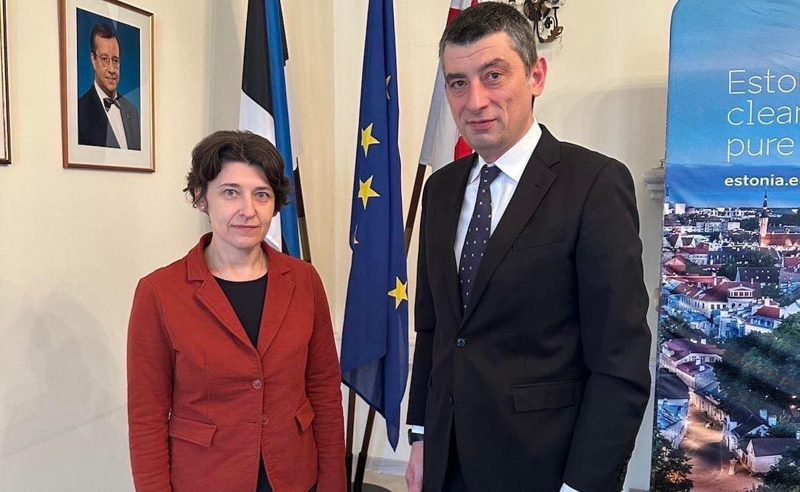 ესტონეთის მთავრობის მხარდაჭერა ვთხოვე საქართველოსთვის კანდიდატის სტატუსის მინიჭების პროცესში - გახარია